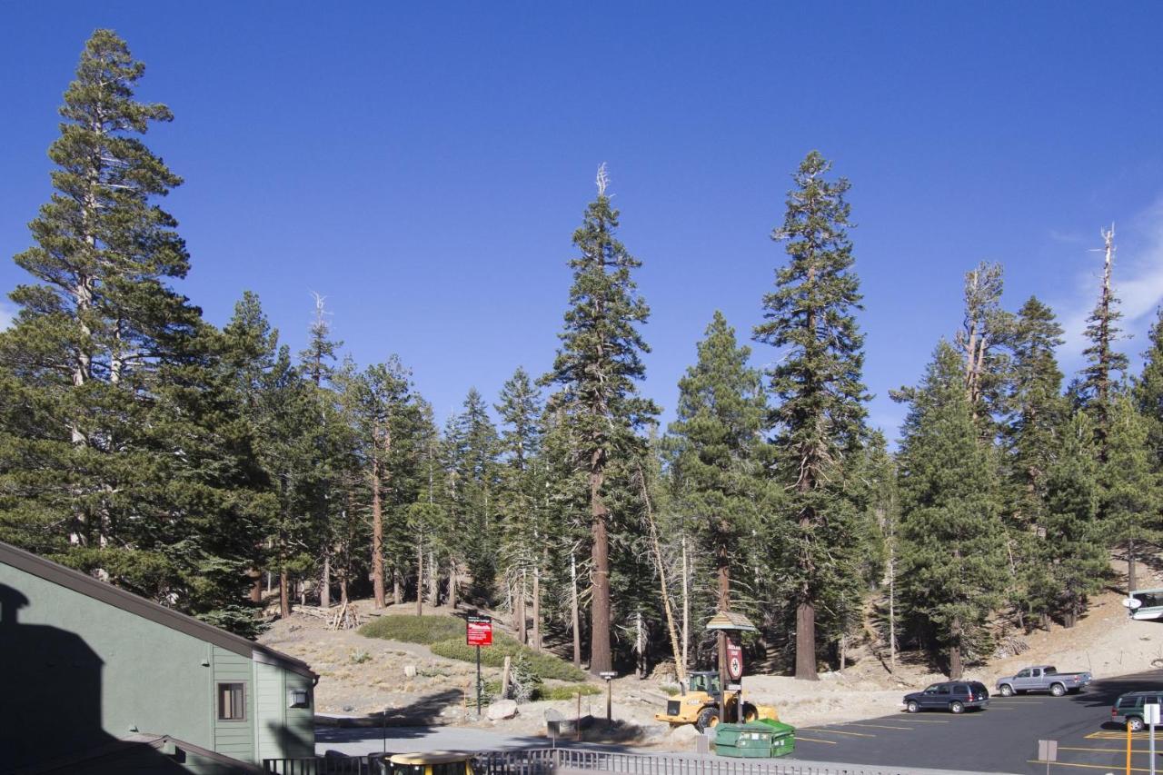 St Anton Street View Ski-In & Out 1-Bedroom Condo Mammoth Lakes Exterior photo